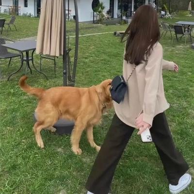 巴黎春光